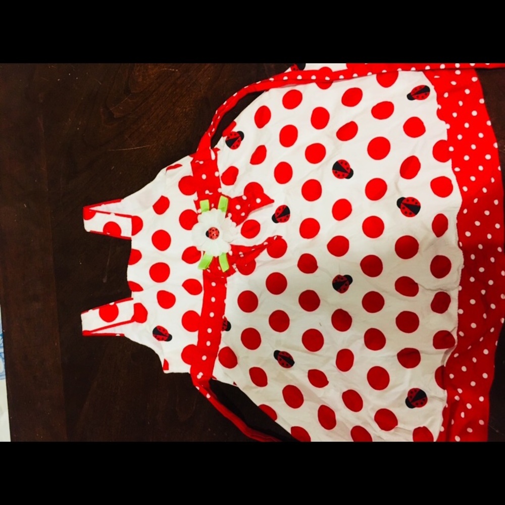 Ladybug dress new gorgeous Sophia rose 3t